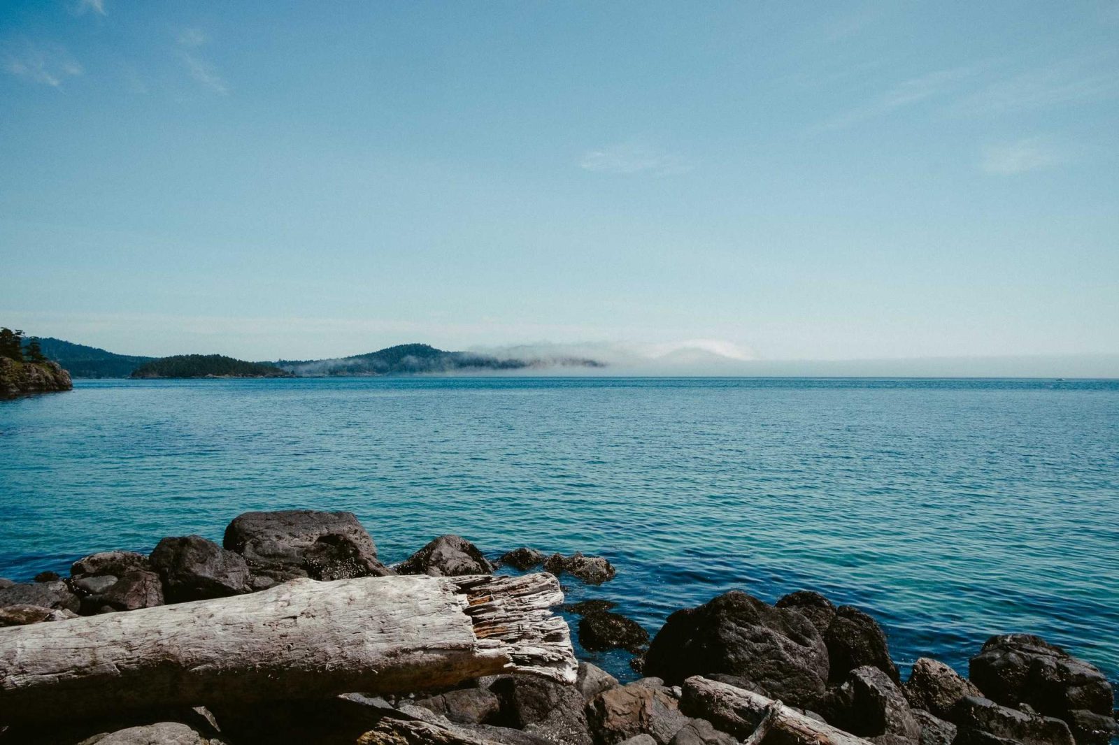 A calm bay under a clear sky, with driftwood and dark rock along the near shore and a low wooded headland on the far side.