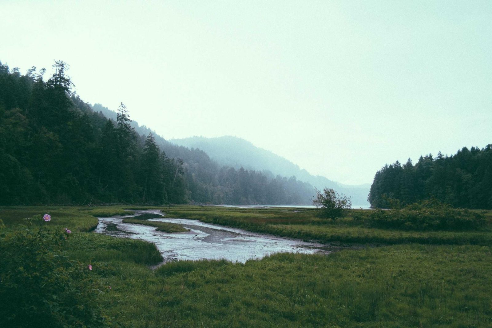 A river winding through low grassland toward forested hills, under a pale sky.
